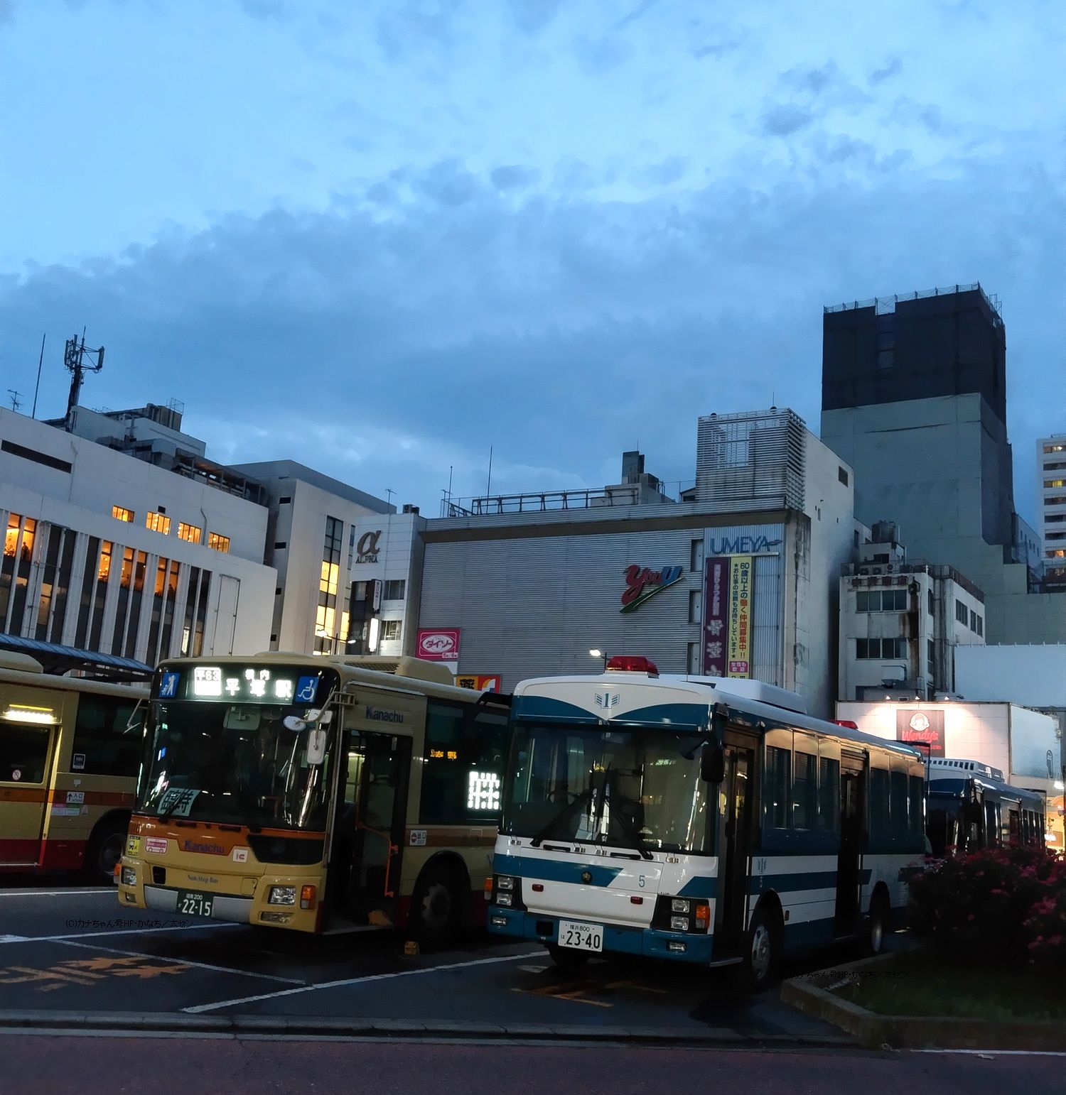 ひ116 湘南ひらつか七夕まつり2023